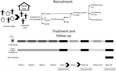 Community-based treatment of cutaneous leishmaniasis using cryotherapy and miltefosine in Southwest Ethiopia: the way forward?